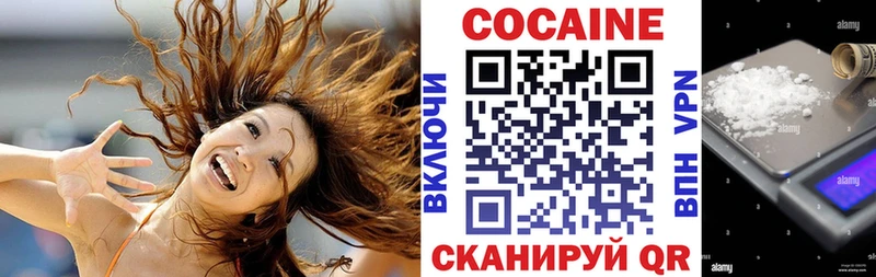 hydra как зайти  Магас  Кокаин Fish Scale  сколько стоит 