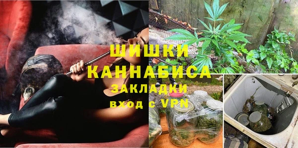 PSILOCYBIN Краснотурьинск