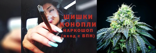 Альфа ПВП Краснослободск