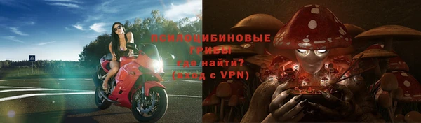 a pvp Кукмор