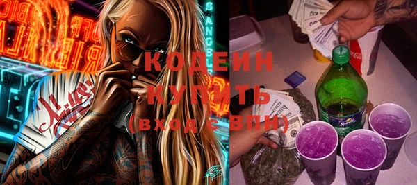 ГАЛЛЮЦИНОГЕННЫЕ ГРИБЫ Кулебаки