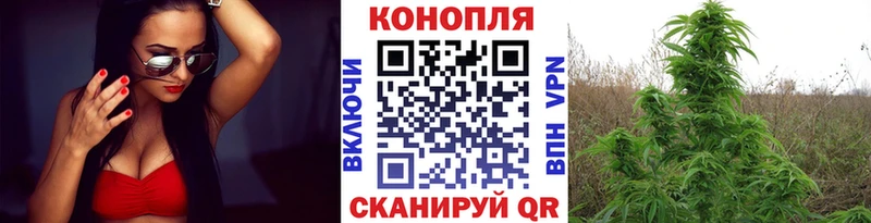 kraken ONION  Магас  Бошки марихуана SATIVA & INDICA 
